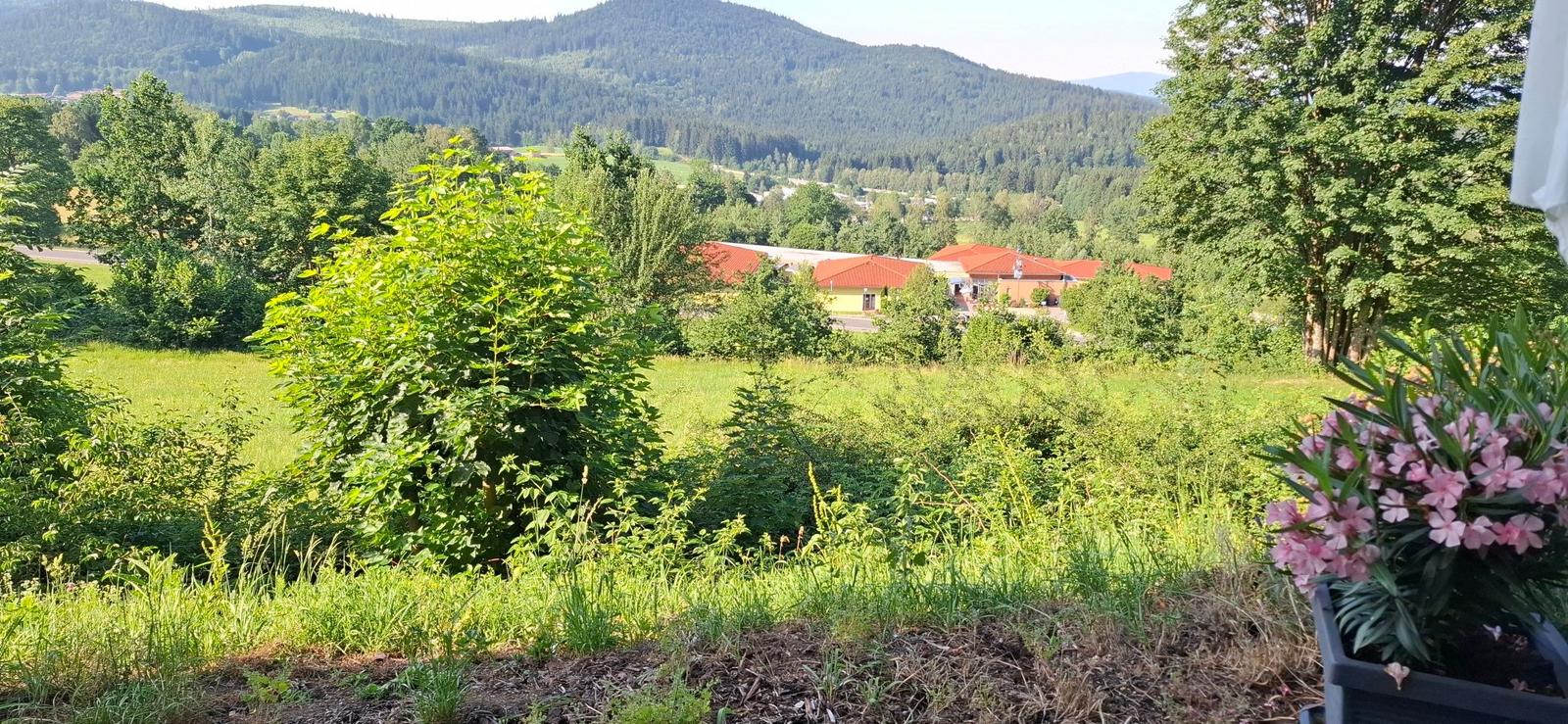 Ausblick von der Terrasse