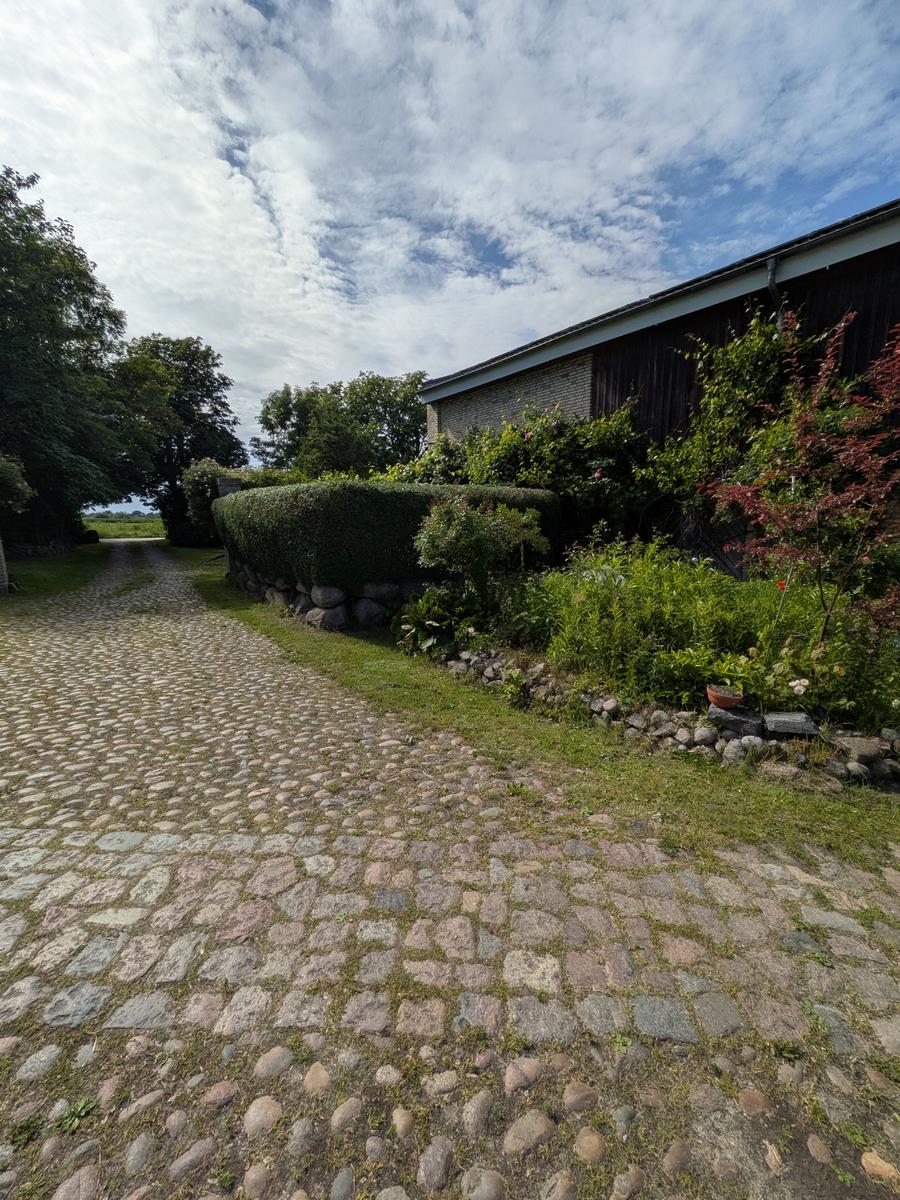 Kiesweg führt zu einem Haus mit grüner Hecke und Steinmauer.