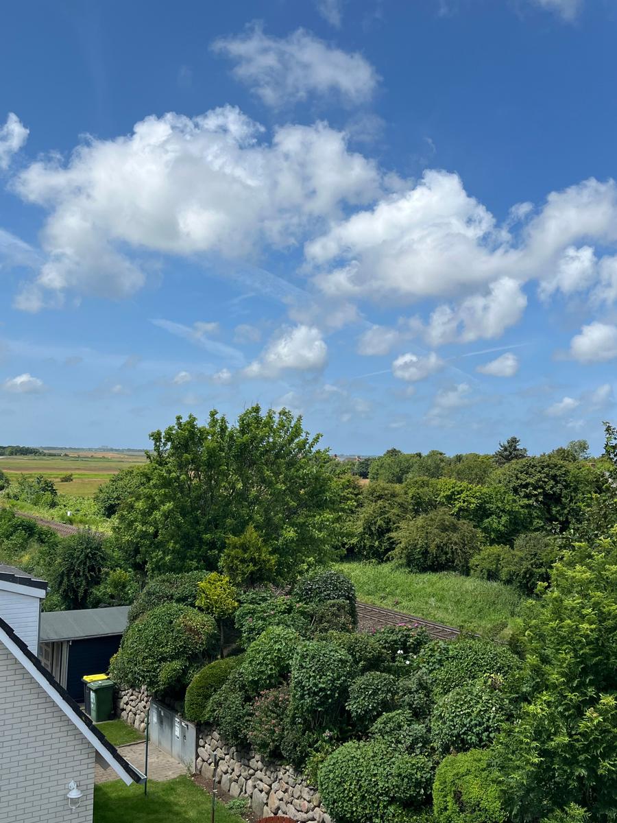 Weitläufiger Blick auf grüne Landschaft mit Bäumen und Himmel mit weißen Wolken.