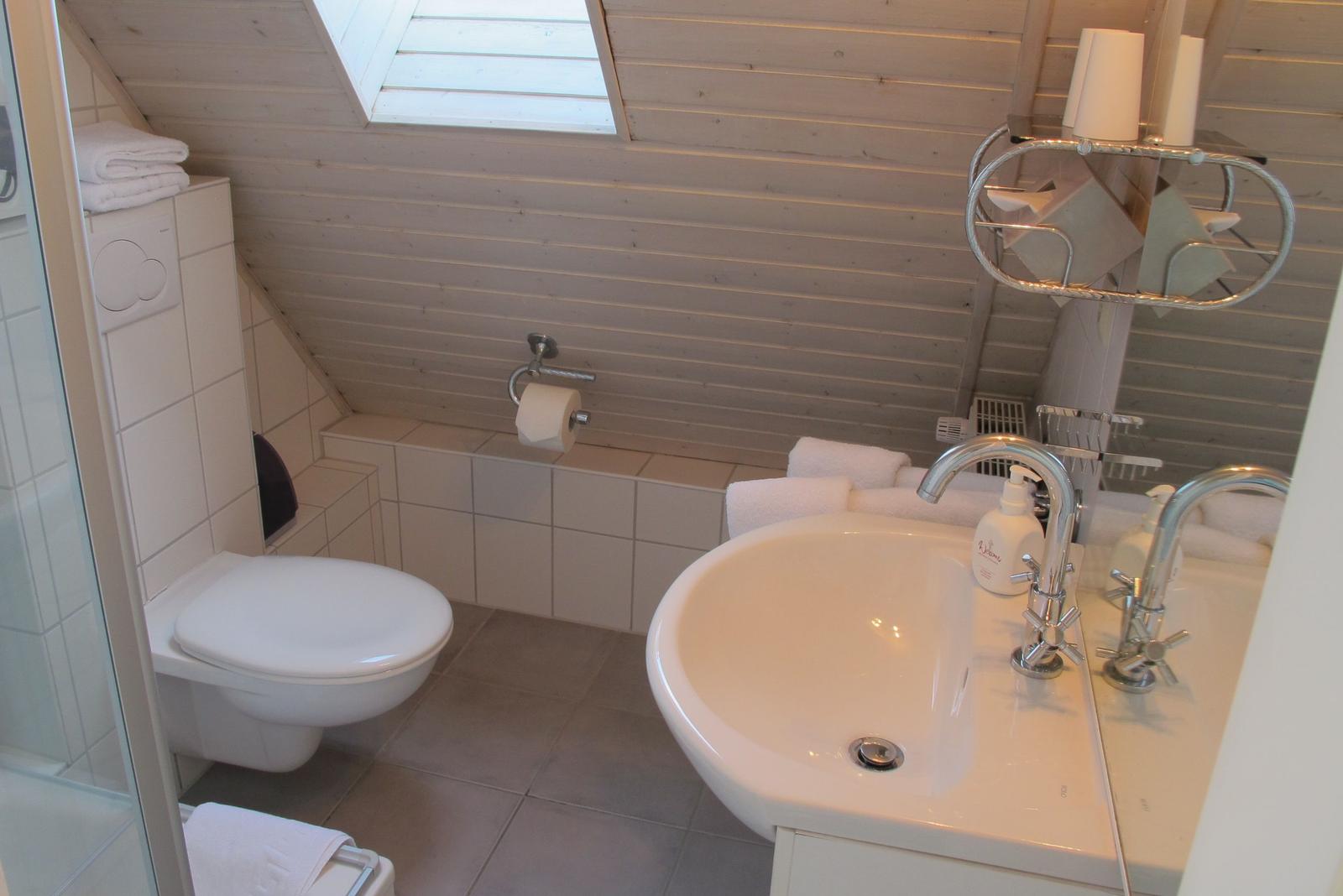 Badezimmer mit Toilette, Waschbecken und Dusche unter Holzdecke