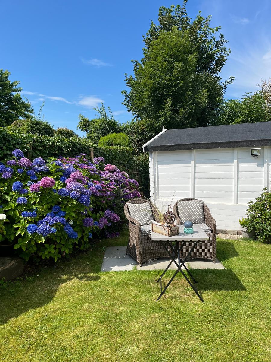 Garten mit Stuhl, Tisch und blühenden Hortensien vor weißem Schuppen.
