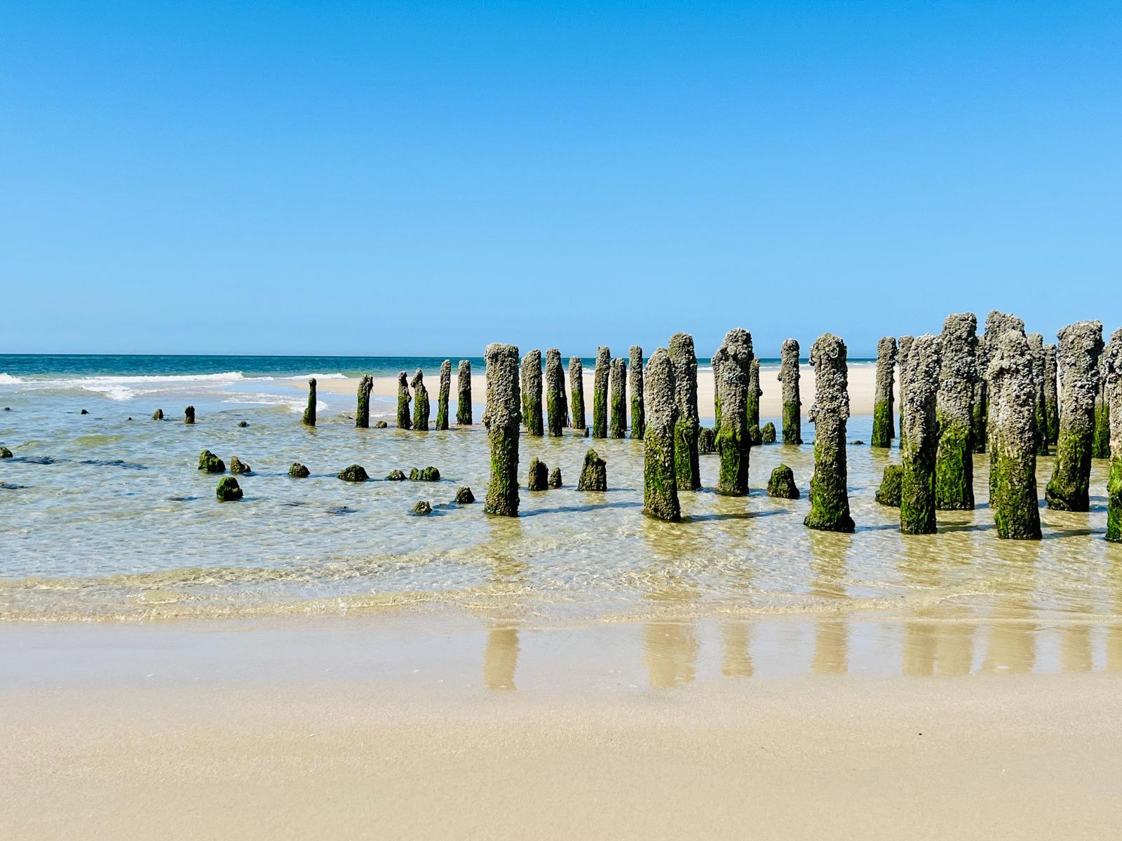 Strand mit alten Pfählen im flachen Wasser unter blauem Himmel