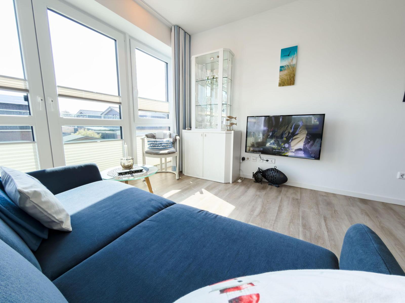 A living room with a blue sofa, TV, and large windows.