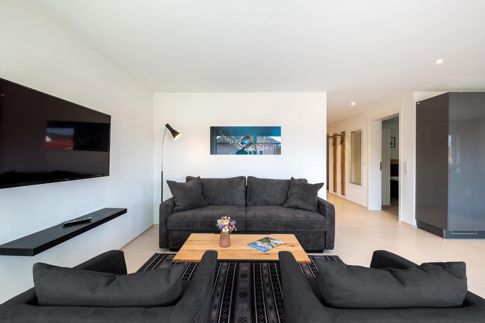 Wohnzimmer mit Sofa, Fernseher und Tisch. Hintergrund zeigt Flur und Schrank.