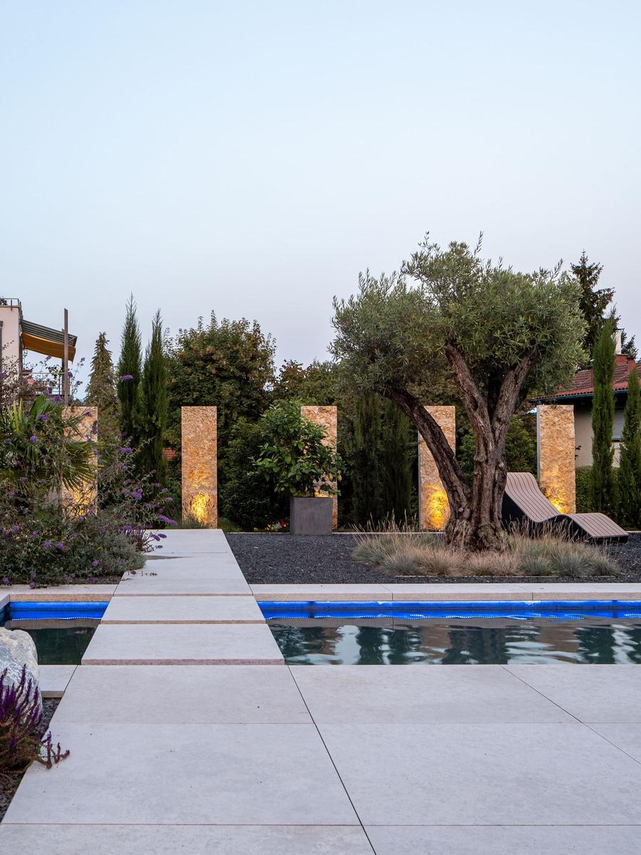 Pool mit Steinweg, Olivenbaum und Beleuchtung im Garten