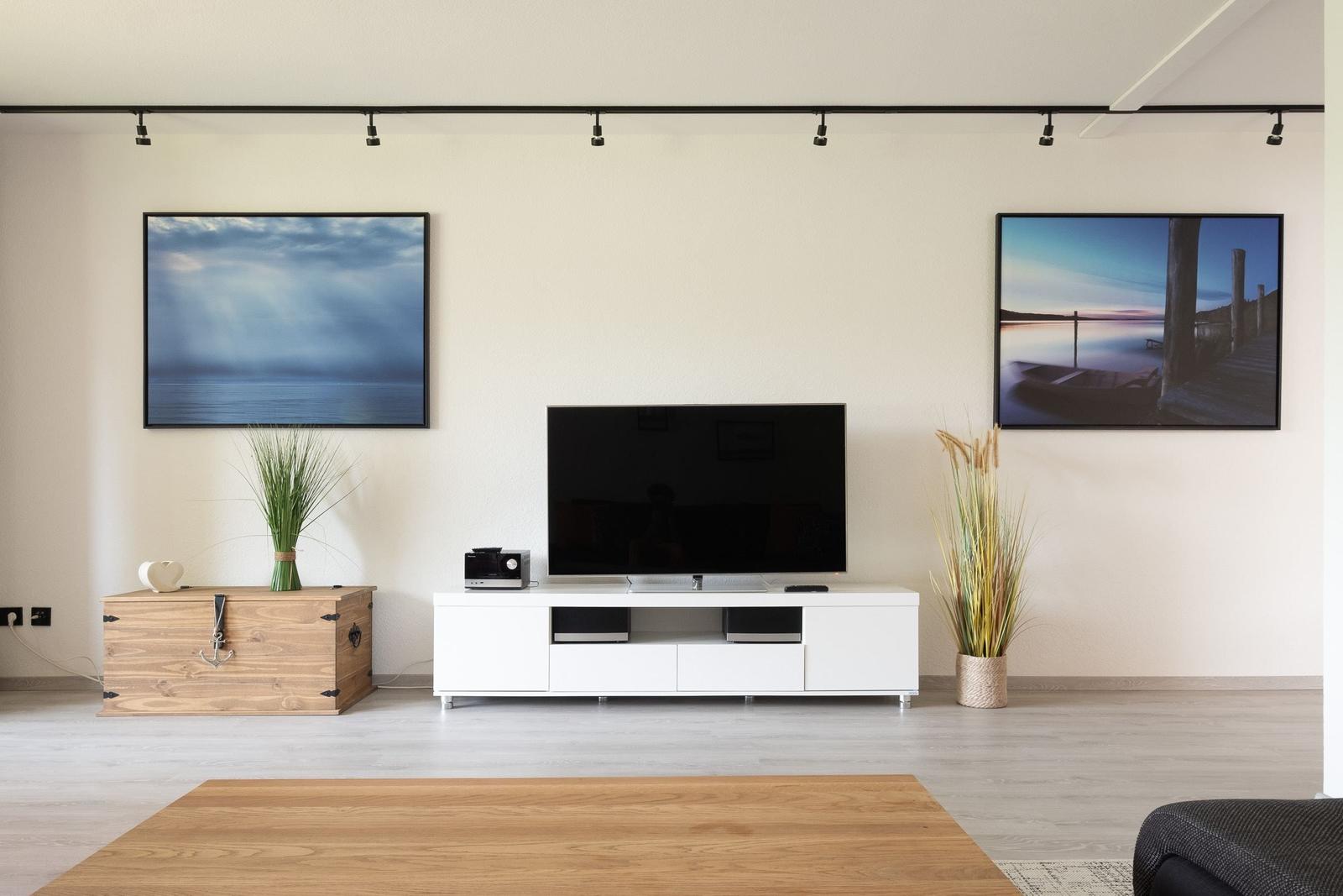 Wohnzimmer mit Fernseher, zwei Bildern und Pflanzen auf dem Boden.