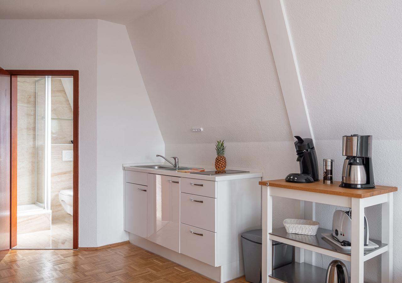 Wohn und Schlafraum mit Pantry-Küche...