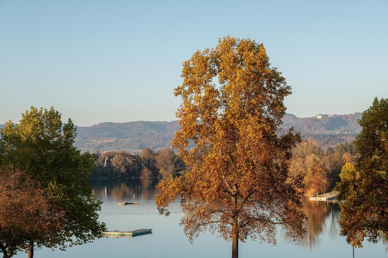 Ein See mit Bootsanlegern und Bäumen im Herbstlicht.