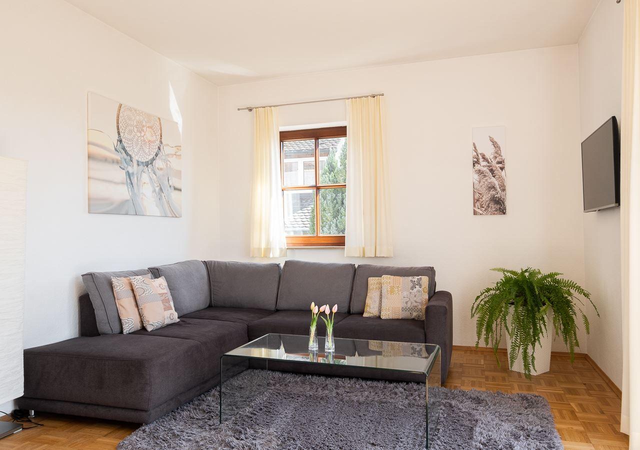 Ein Wohnzimmer mit grauem Sofa, Glas-Tisch und Pflanze. Fenster mit Vorhängen.
