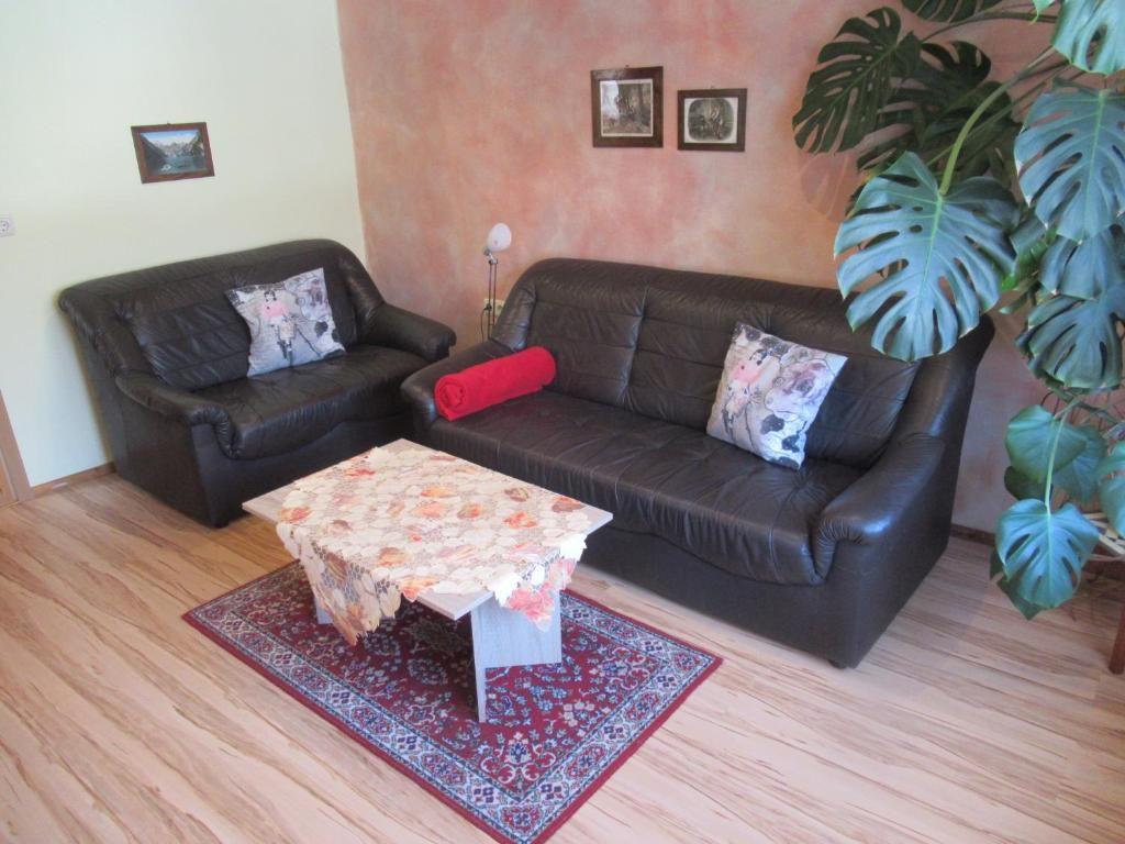 Wohnzimmer mit zwei Ledersofas, Tisch und Teppich. Große Pflanze an der Wand.