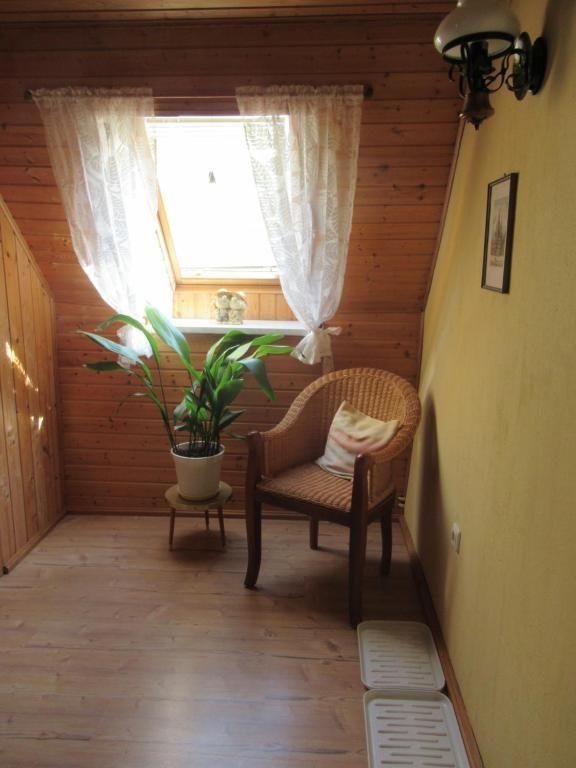 Raum mit Holzwand, Sitzgelegenheit und Pflanze unter Fenster