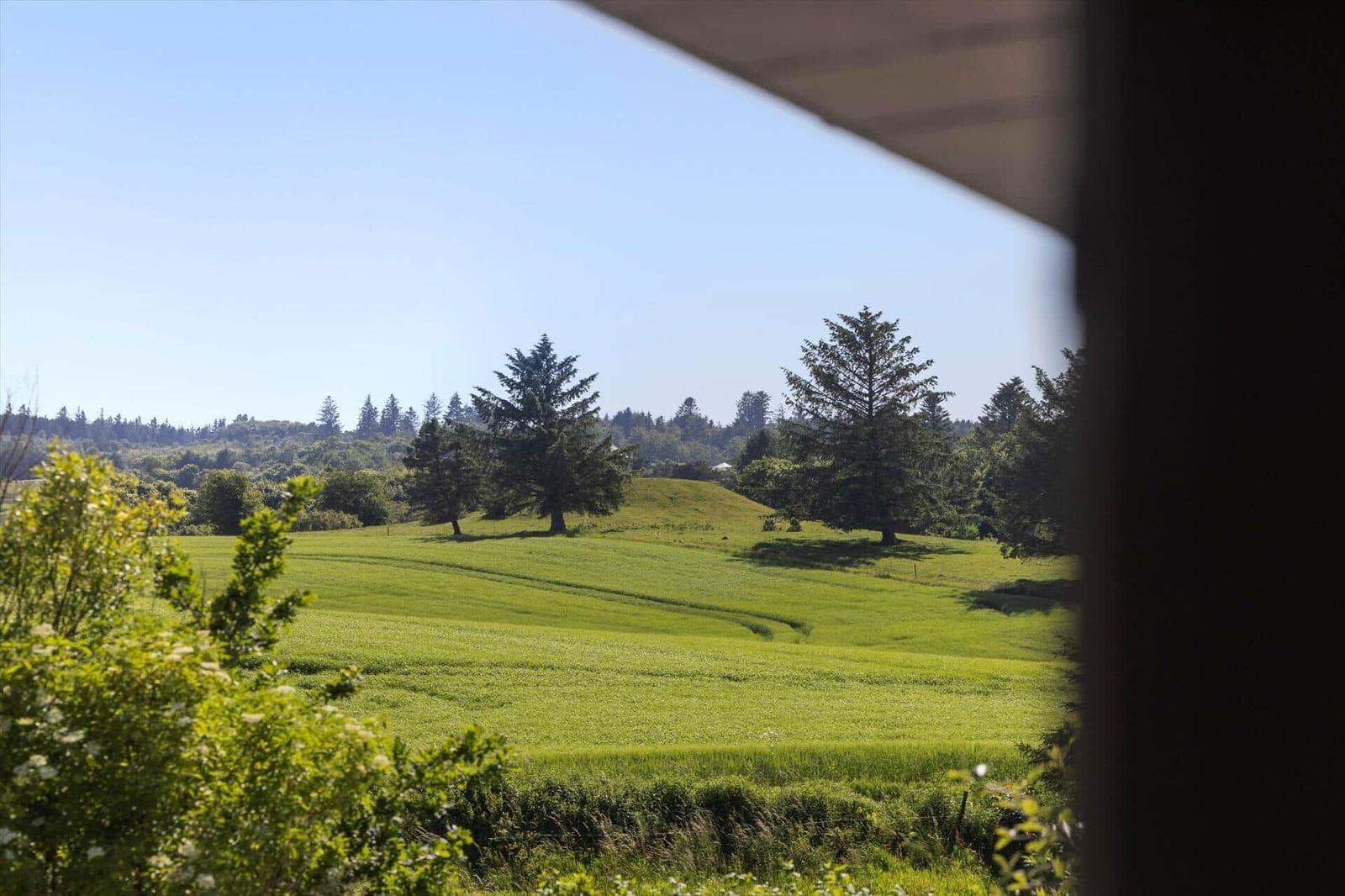 Weitläufiges Grünland mit Bäumen und einem Wald im Hintergrund, fotografiert von einer Veranda.