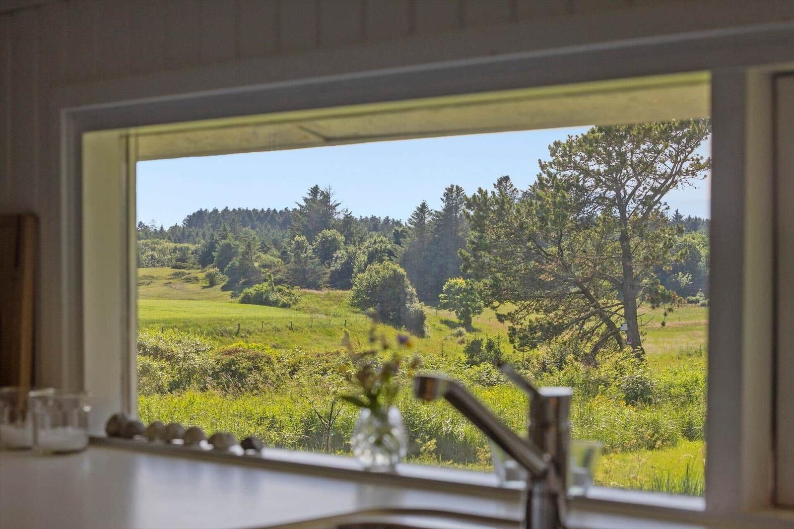 Küchenfenster mit Blick auf grüne Wiesen und Bäume