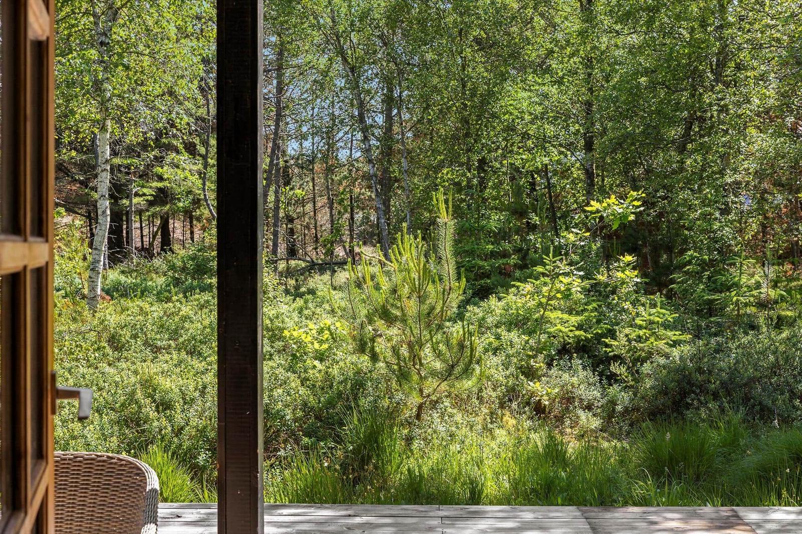 Von der Terrasse blickt man auf einen dichten Wald mit Bäumen und Sträuchern.
