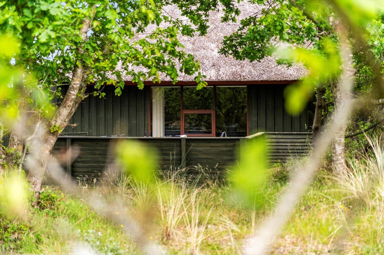 Haus mit Strohdach und Holzfassade, umgeben von Bäumen und Gras.