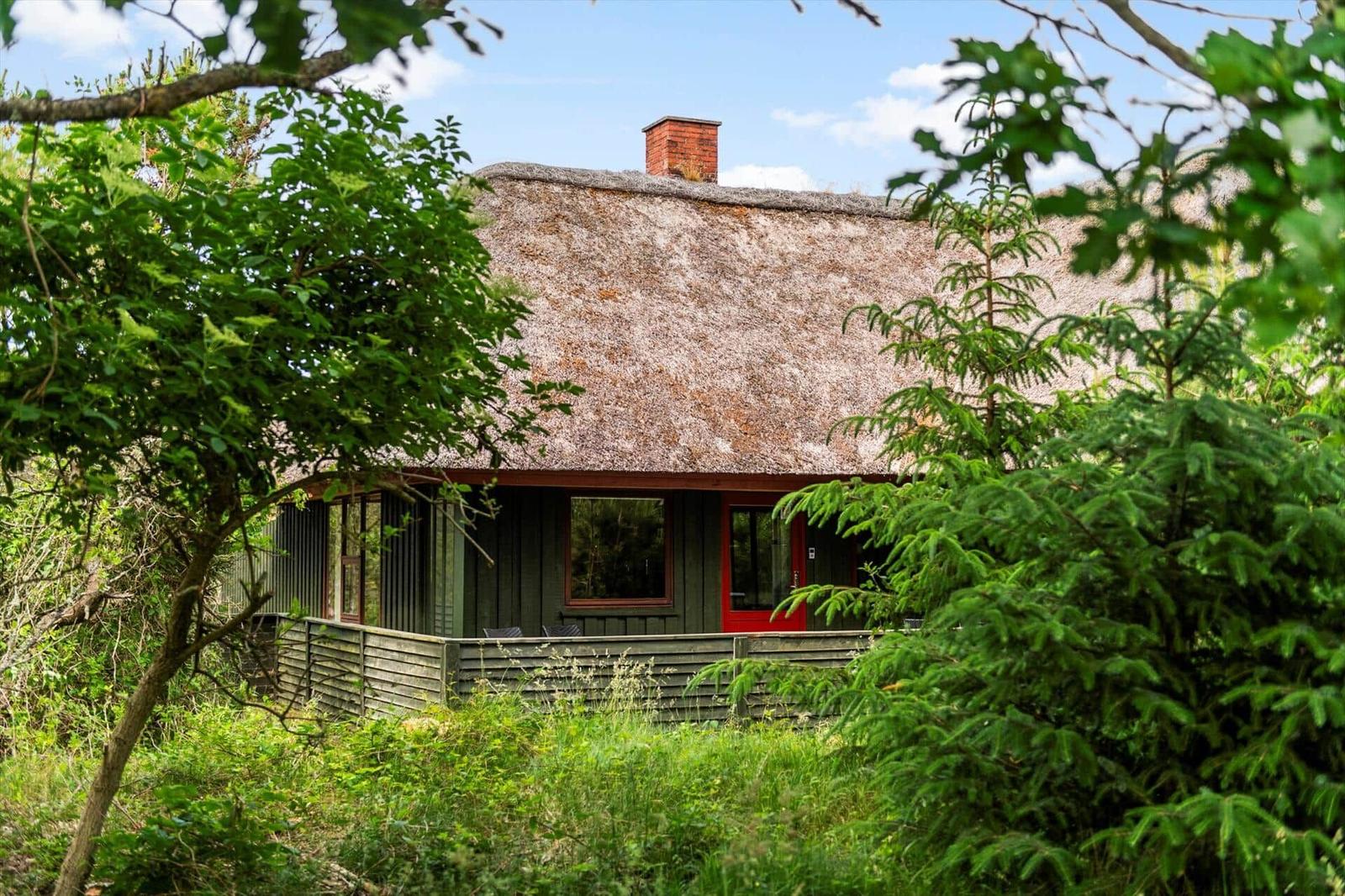 Haus mit strohgedecktem Dach und roter Tür, umgeben von Bäumen und Grünflächen.