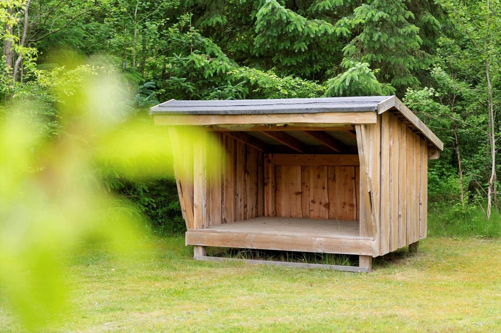 Holzüberdachung im Garten mit Blick in den Wald.