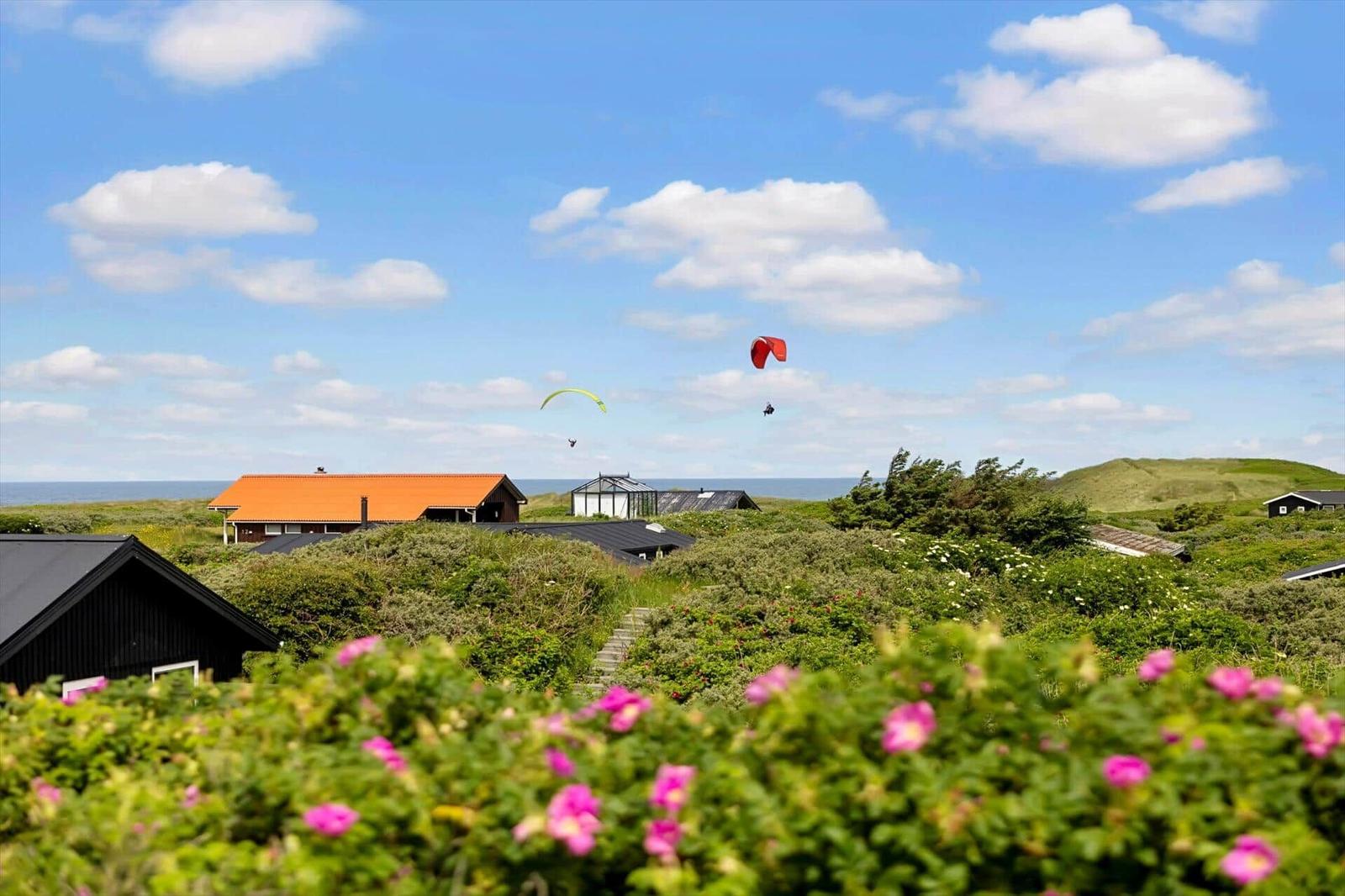 Zwei Paraglider fliegen über Häuser und grüne Hügel mit rosa Blumen im Vordergrund.