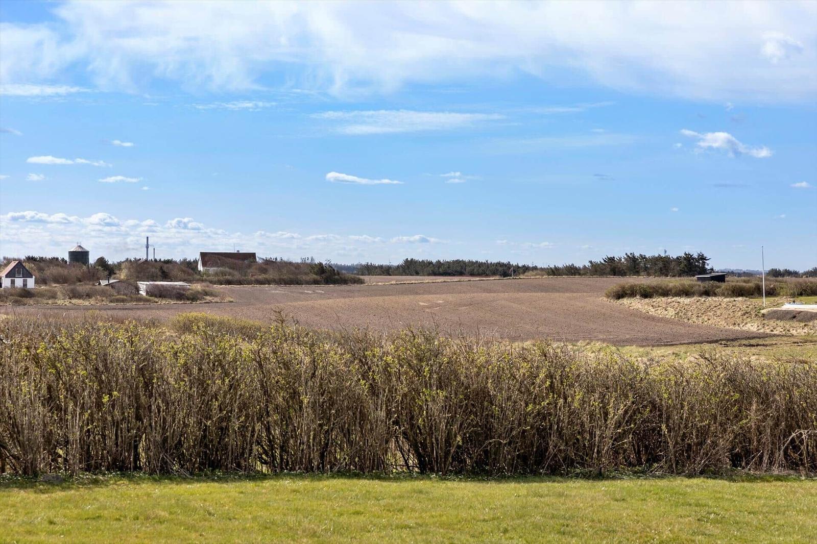 Weitläufiges Feld unter blauem Himmel mit Bäumen und Häusern im Hintergrund.