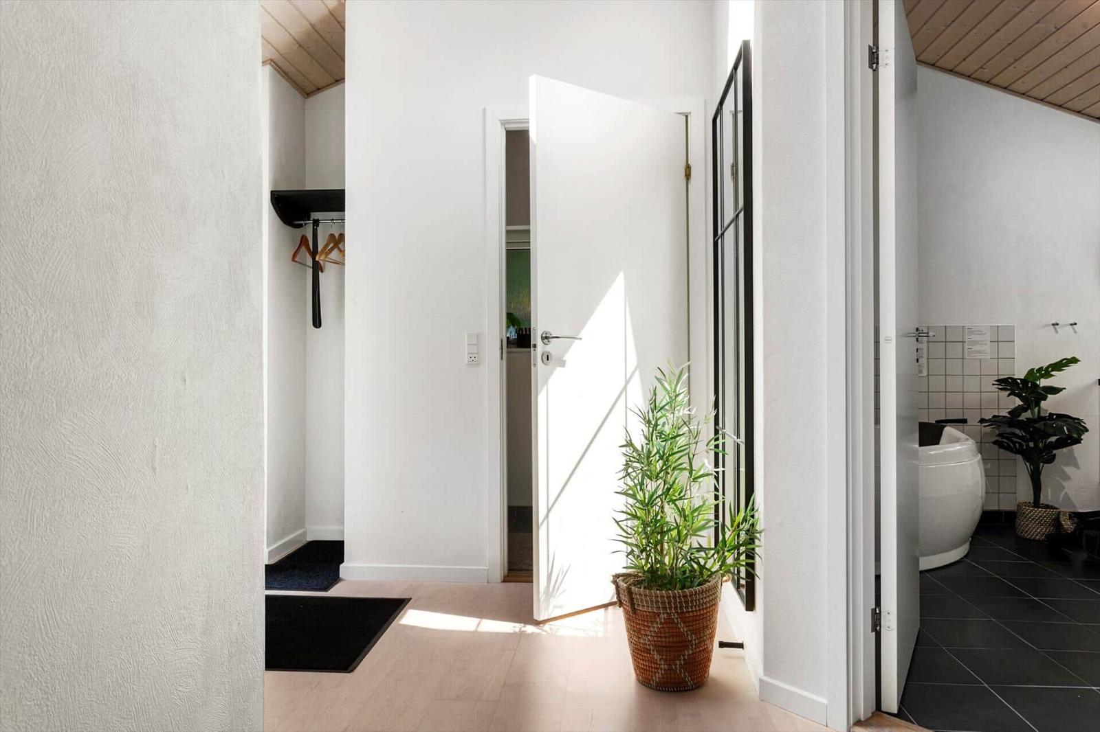 Eingangsbereich mit Kleiderschrank, Pflanze und Blick in Bad und Schlafzimmer.