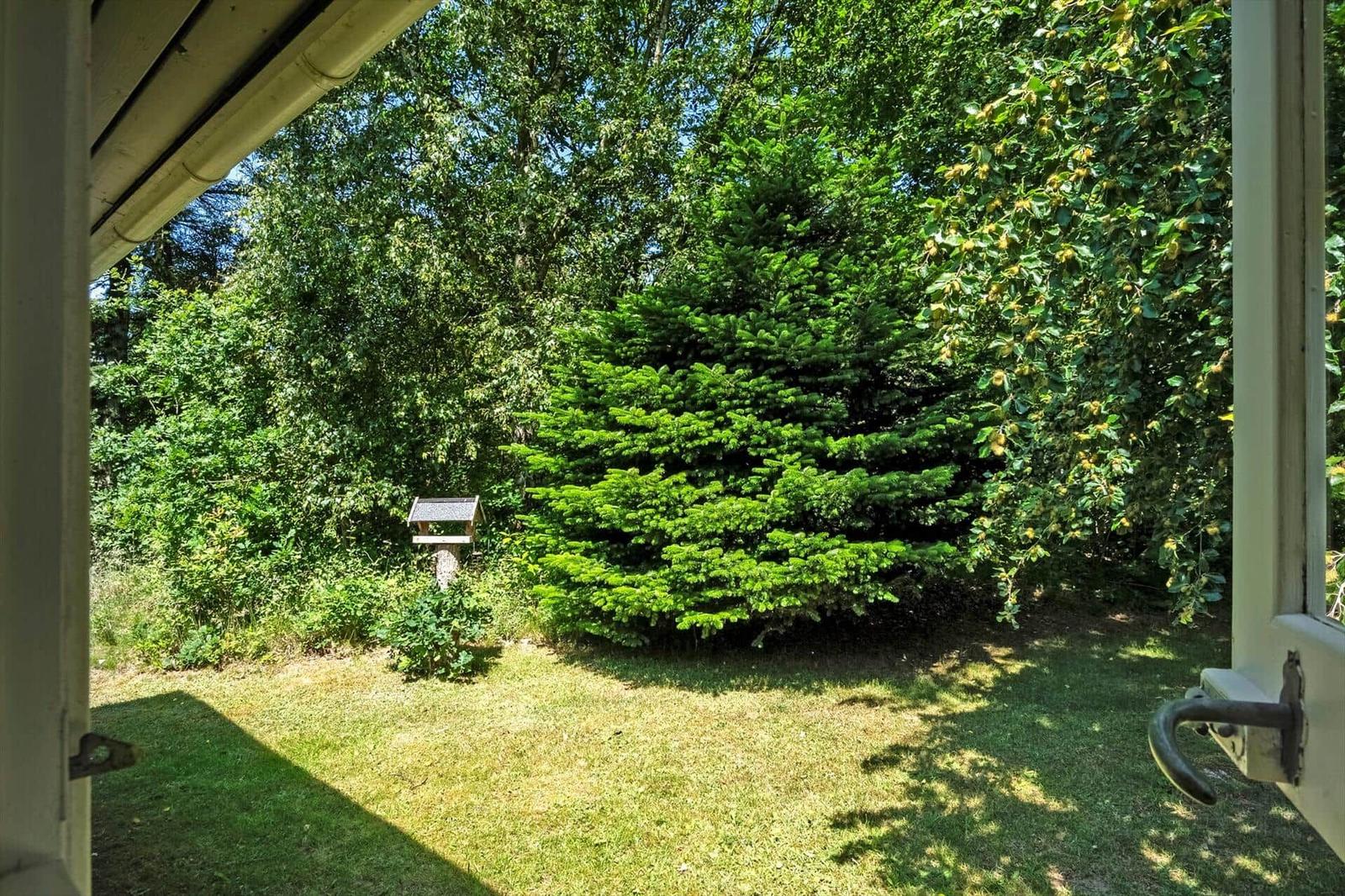Von der Veranda aus blickt man auf einen grünen Garten mit Bäumen und einem Vogelhäuschen.