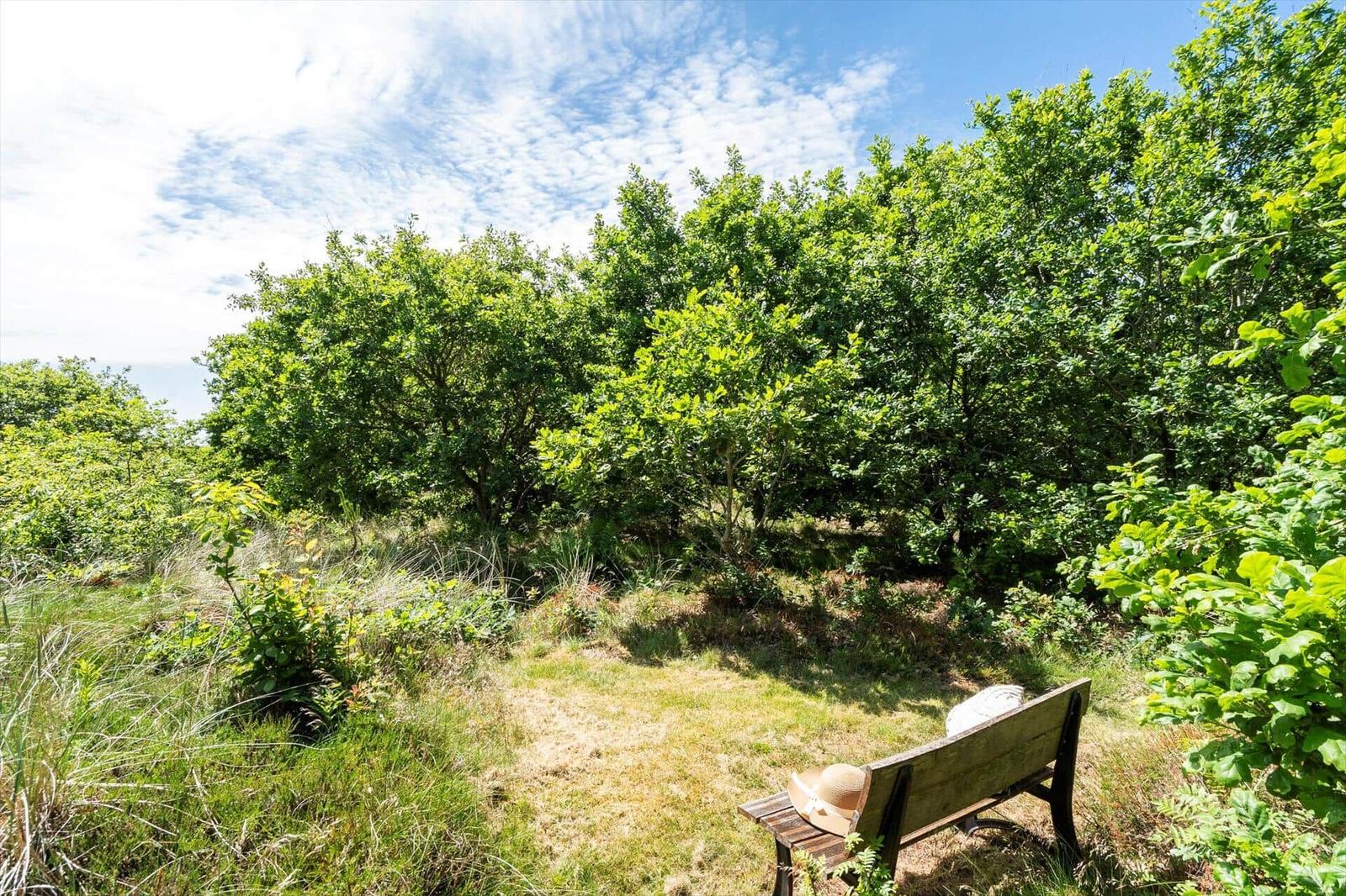 Holzbank im Gras unter Bäumen mit blauem Himmel.