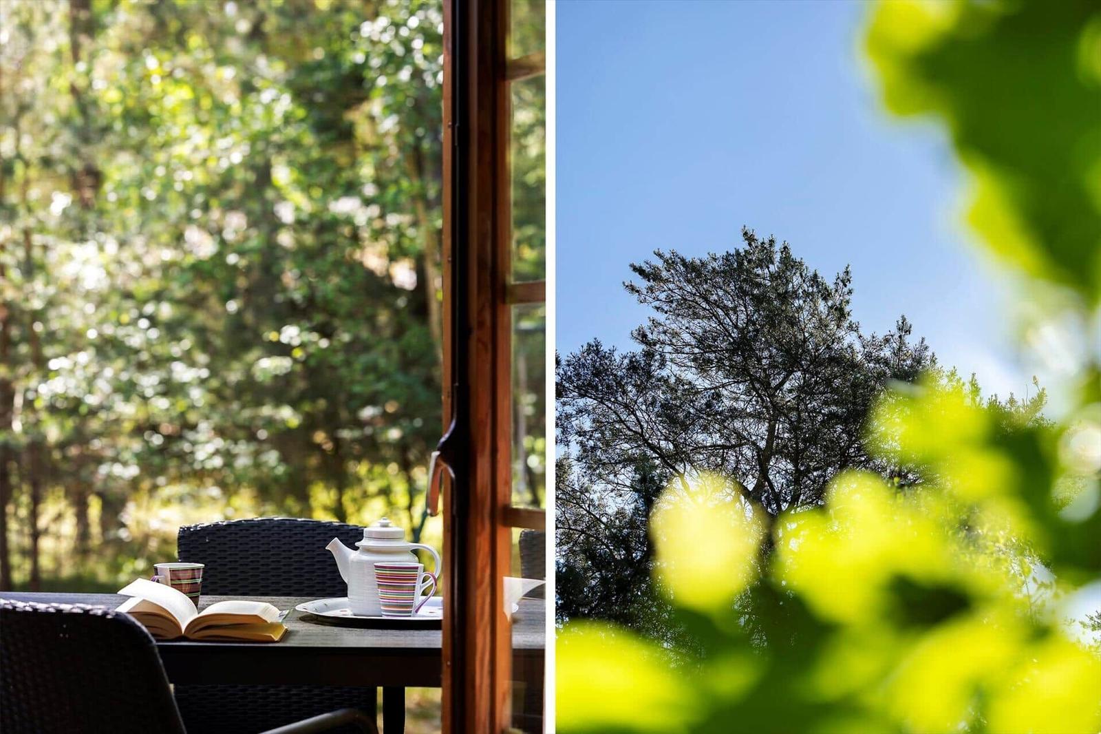 Tisch mit Teekanne und Buch vor Fenster. Blick auf Bäume und Himmel.