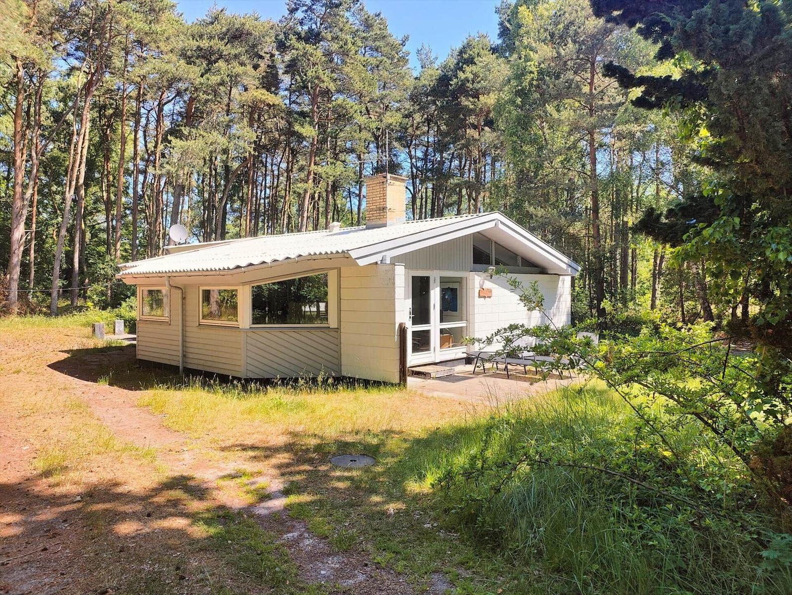Wohnhaus im Wald mit Terrasse und Fenstern