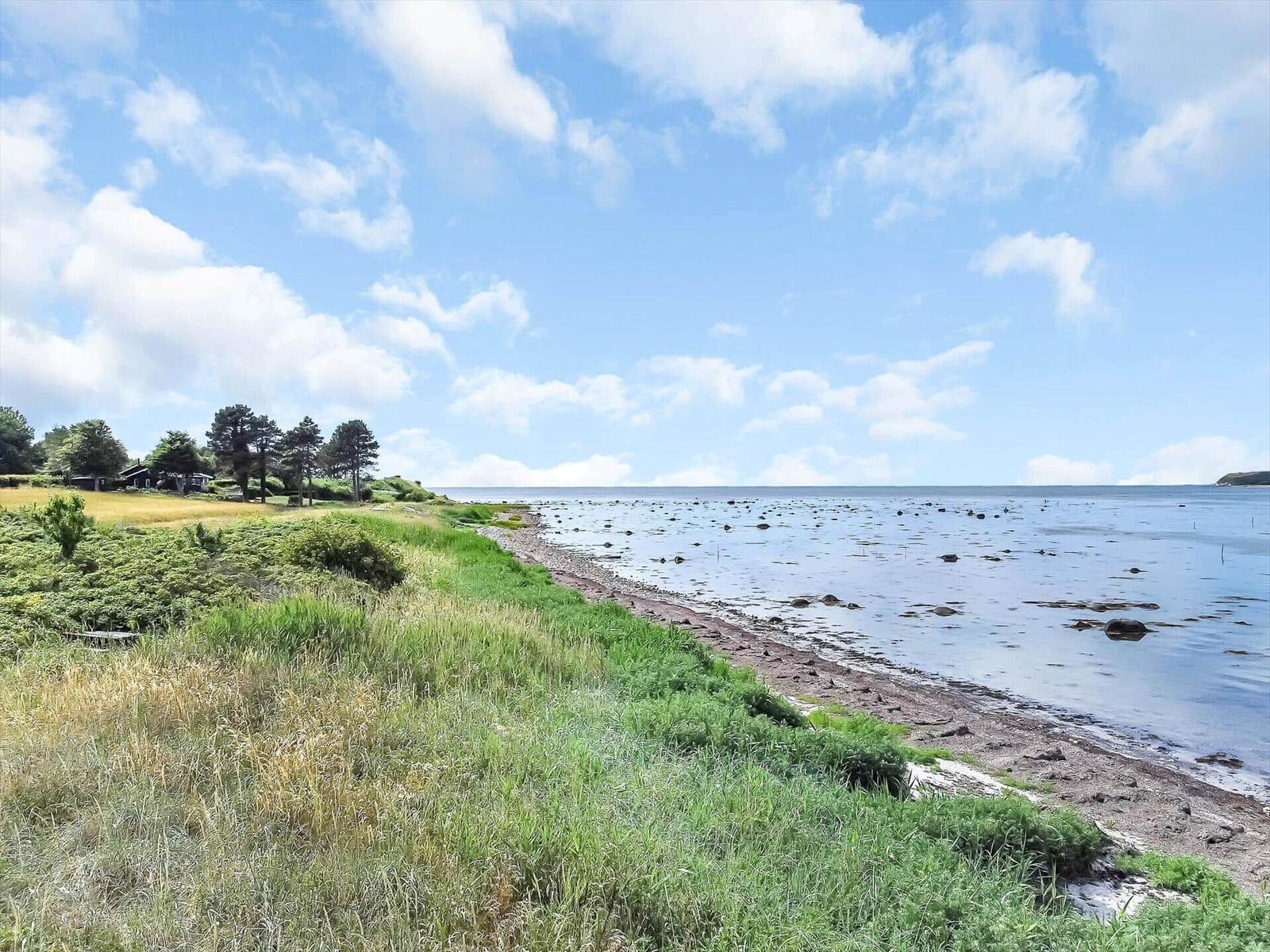Beach with grassland and trees under blue sky with white clouds.