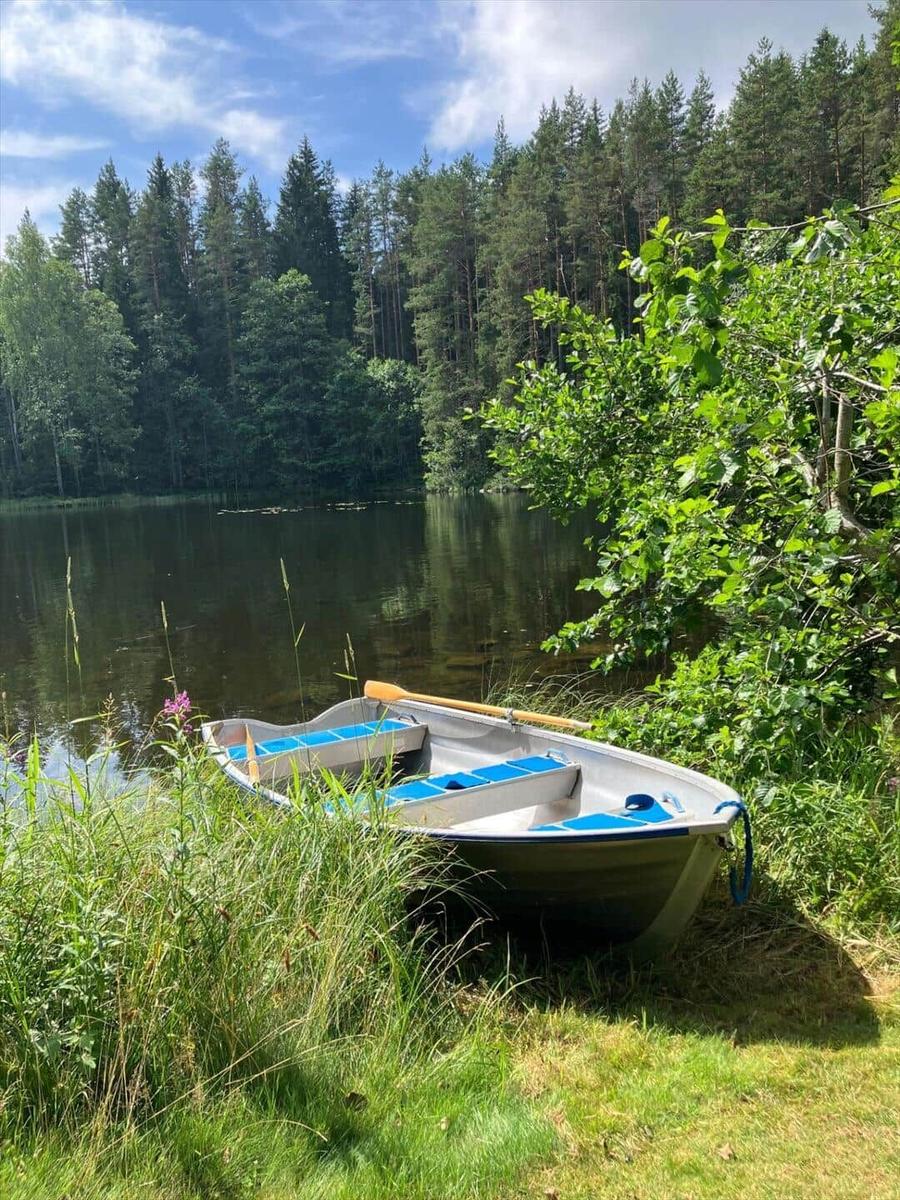 Ein kleines Boot mit Ruder liegt am Ufer eines Sees, umgeben von Gras und Bäumen.