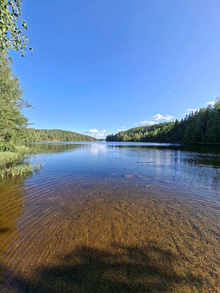 Klarer See mit Wald am Ufer unter blauem Himmel