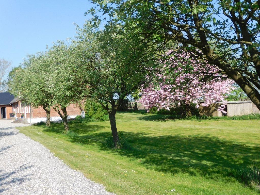 Grüner Rasen mit blühenden Bäumen und einem Weg zur Villa.