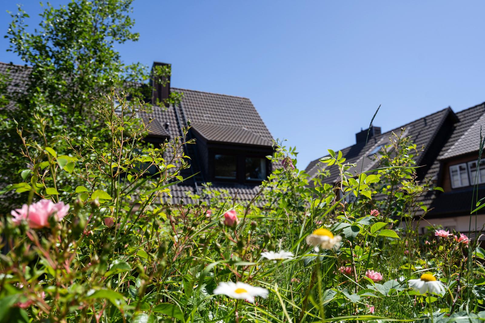Haus mit Gartenterrasse und Blumenbeete unter blauem Himmel.