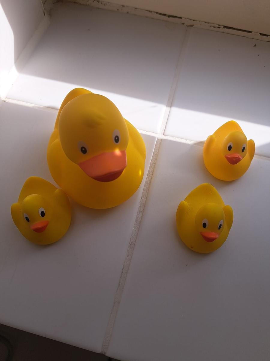 Vier gelbe Gummiente auf weißem Fliesenboden.