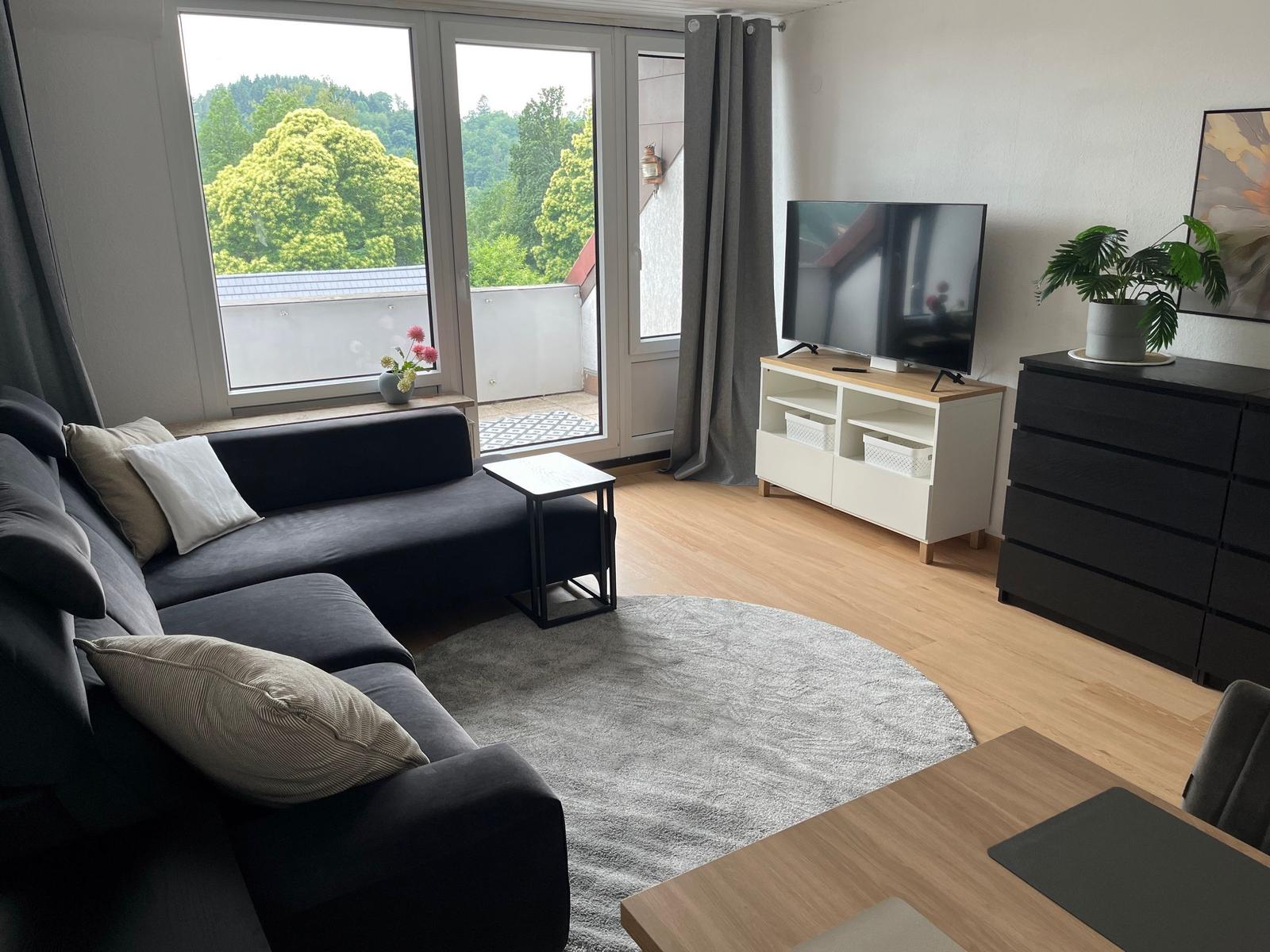 Wohnzimmer mit Sofa, TV und Balkonblick. Holzboden und graue Teppiche.