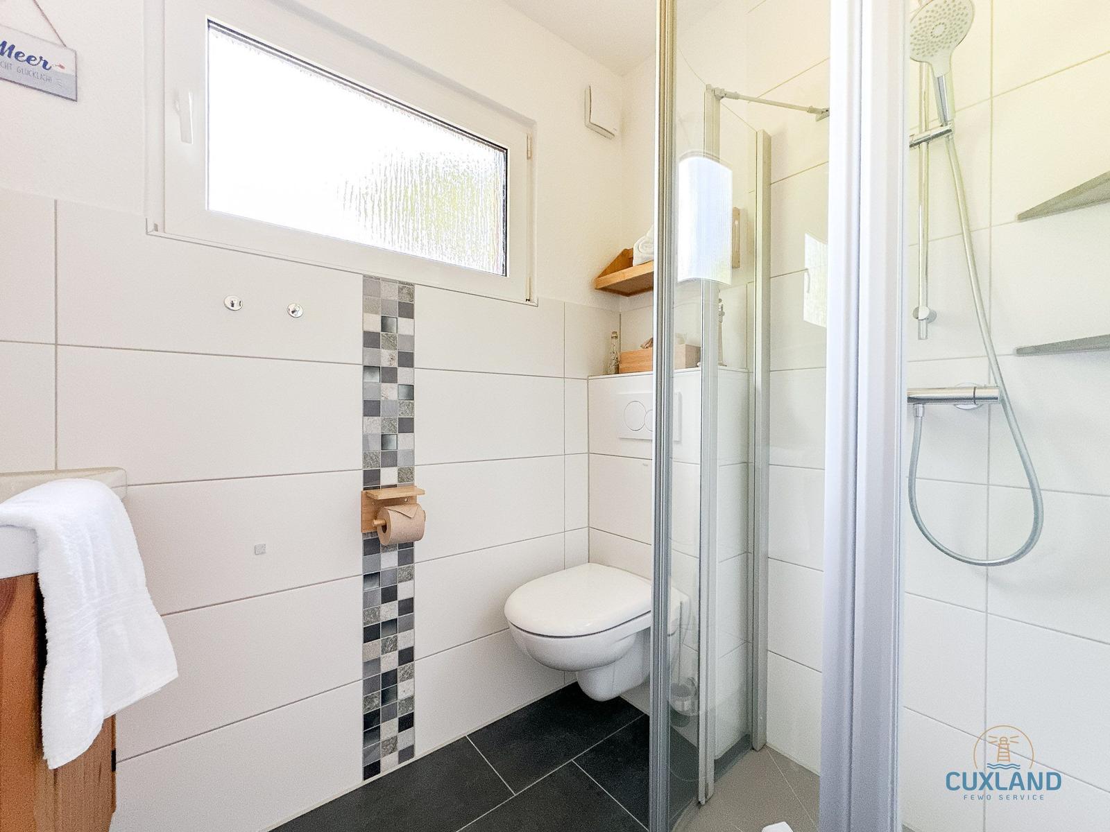 Badezimmer mit Dusche, WC und Fenster. Fliesenwand mit Mosaikstreifen.