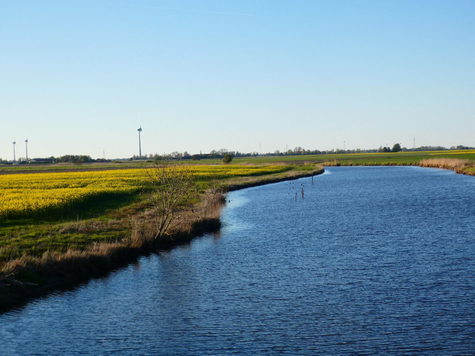 Fluss mit gelben Blumenfeldern und Windrädern im Hintergrund.