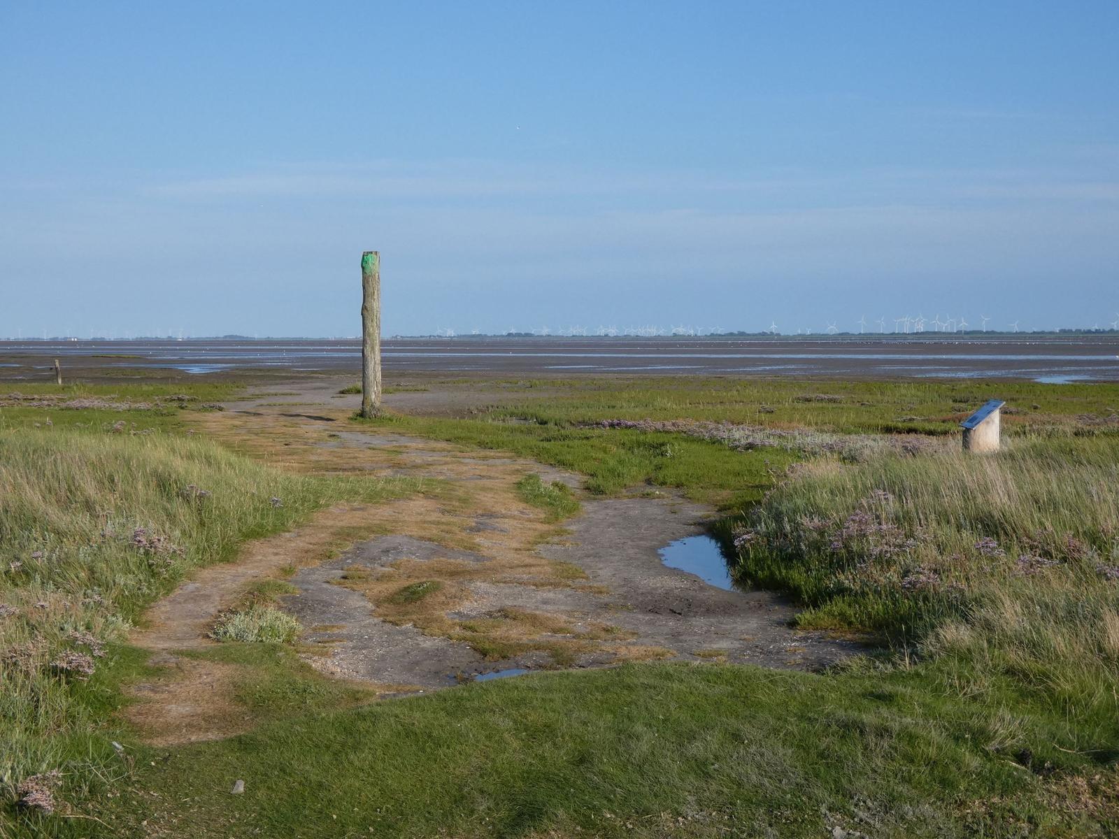 Weg durch Grasland mit Pfosten und Windkraftanlagen im Hintergrund.
