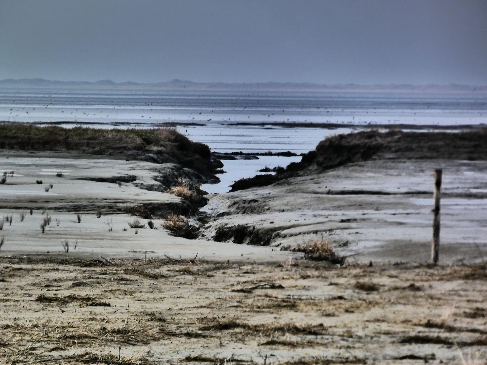 Wasserlandschaft mit Strand und Dünen im Hintergrund