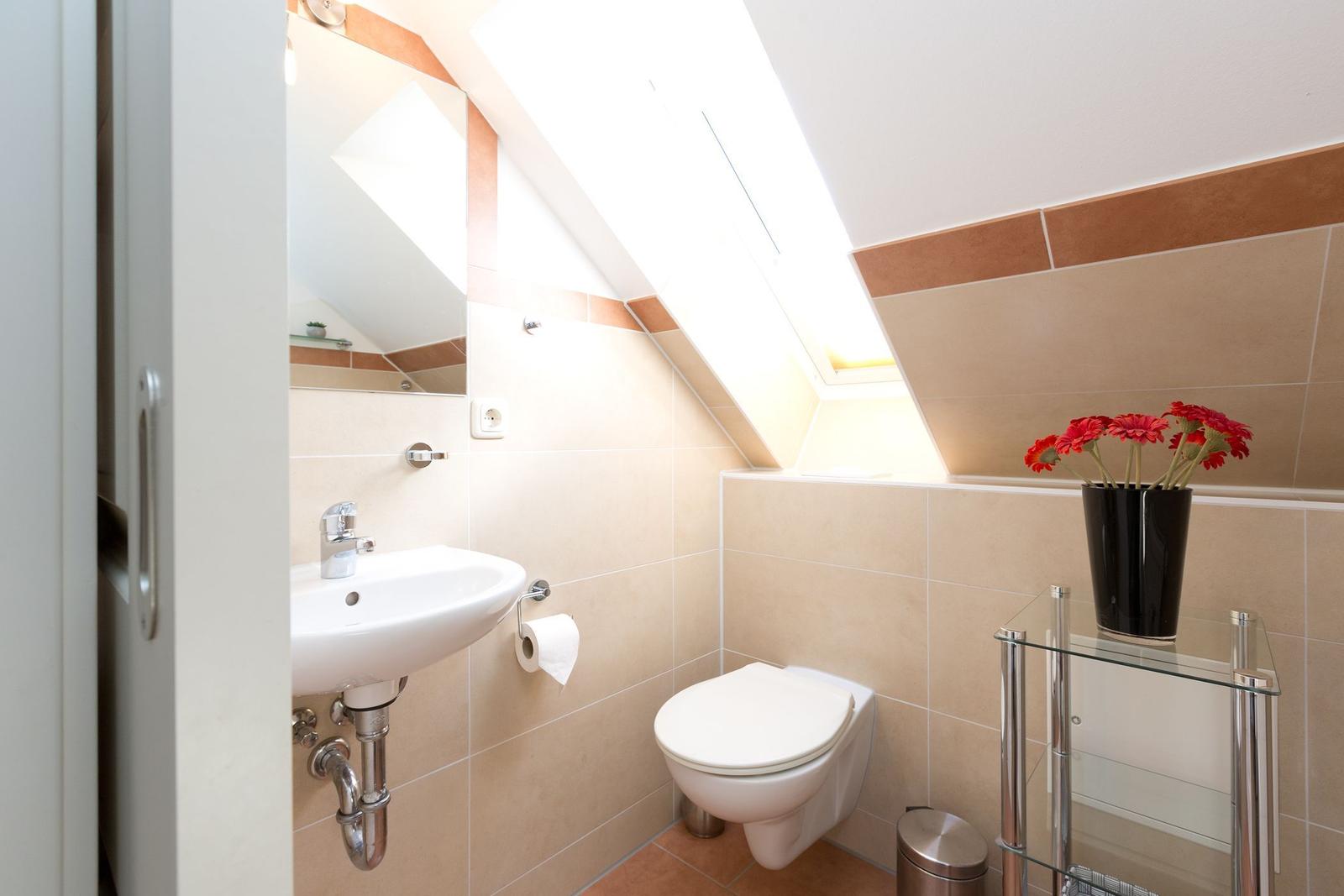Badezimmer mit Toilette, Waschbecken und Dachfenster. Auf einem Glasregal steht eine schwarze Vase mit roten Blumen.