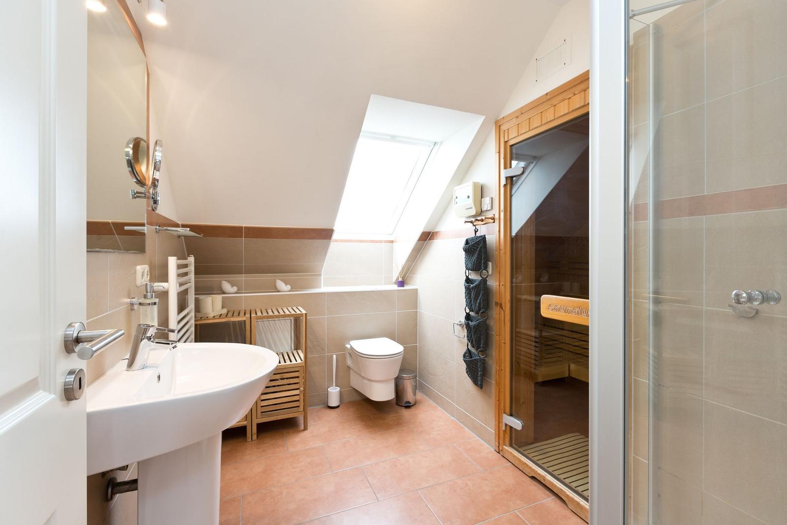 Badezimmer mit Dusche, Toilette und Sauna. Dachfenster sorgt für Tageslicht.