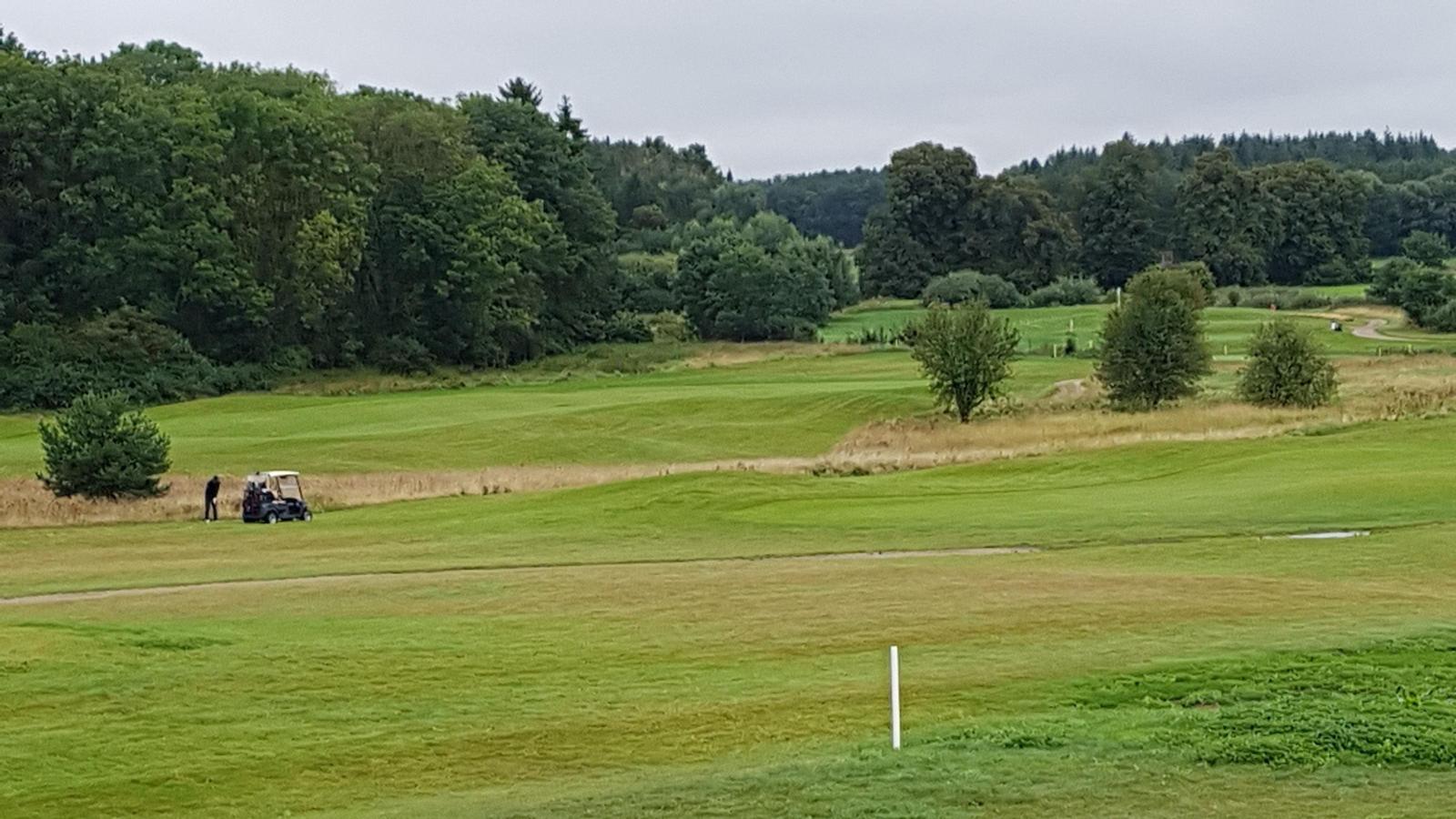 Golfplatz mit grünen Wiesen, Bäumen und einem Golfer mit Cart.