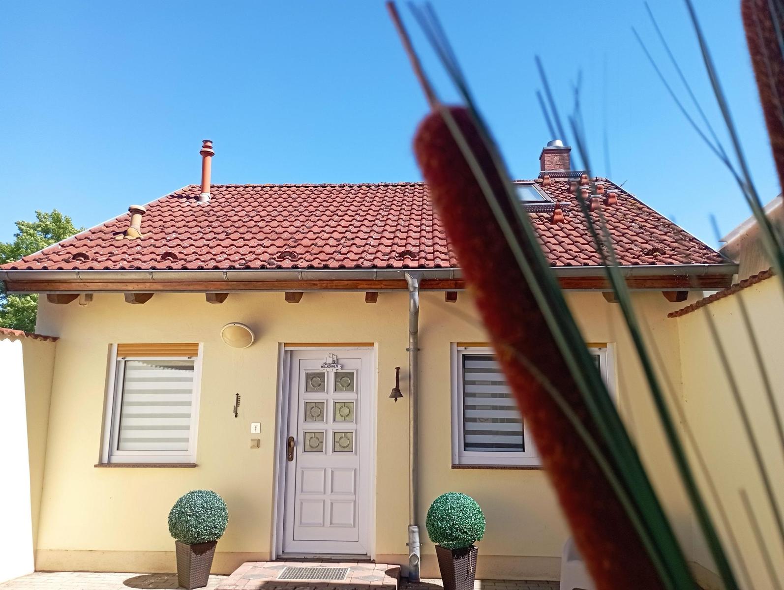 Bungalow Seestern-22