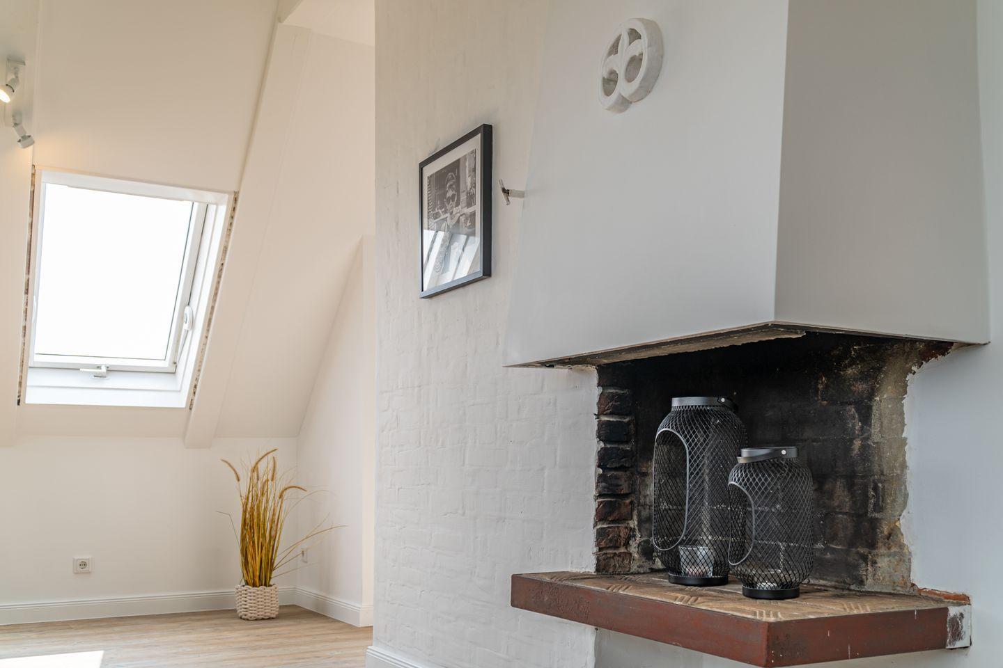 Room with skylight, fireplace, and plant. White walls and wooden floor.