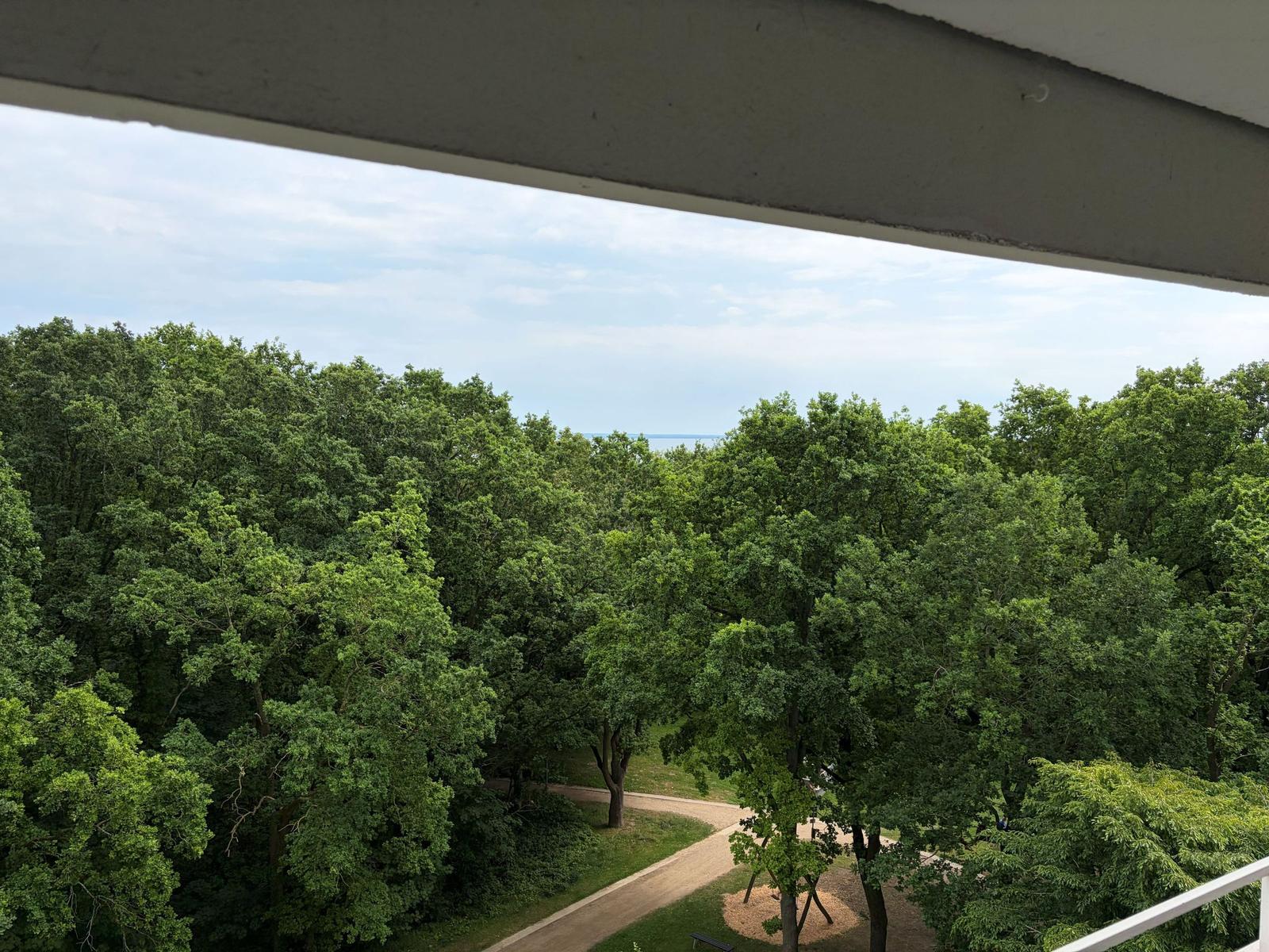 Blick von Balkon auf Wald mit Pfad und Horizont