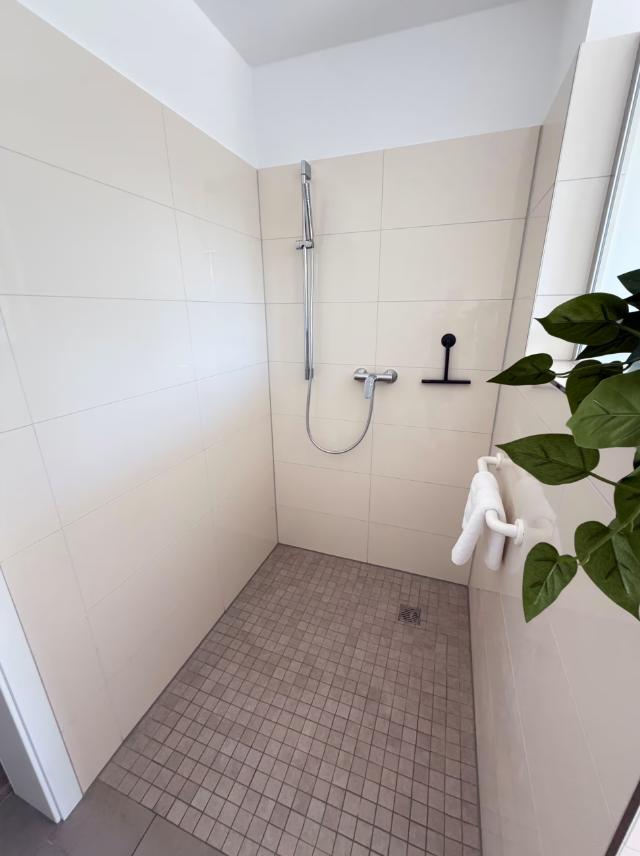 Dusche mit Duschbrause, Handtuchhalter und Pflanze an der Wand