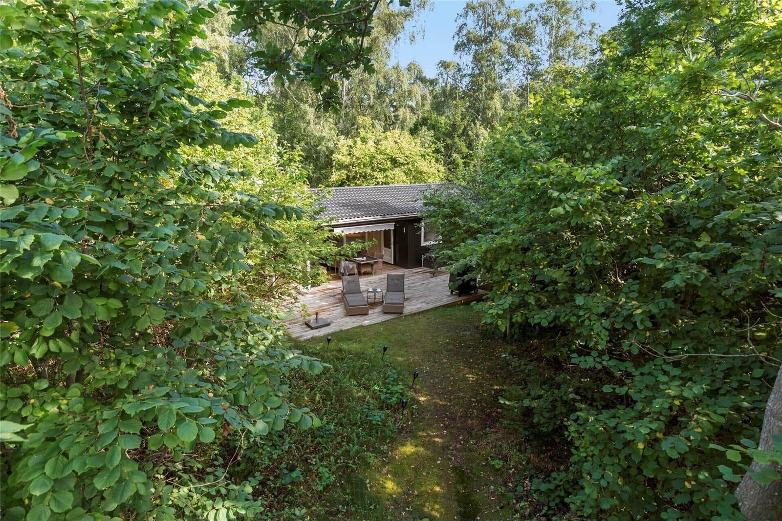 Haus mit Terrasse im Wald, umgeben von Bäumen und Gras.