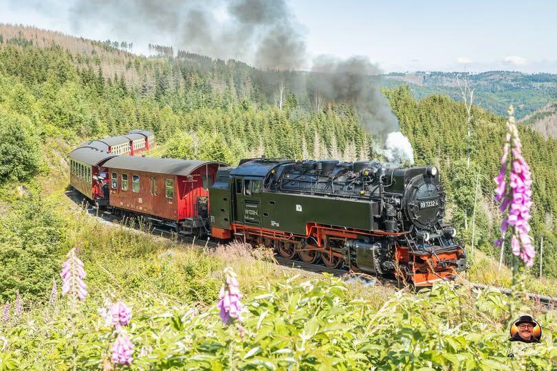 Zug-Fahrt zum Brocken - Hin und zurück  ca. 65 € pro Person ab Wernigerode Bahnhof. Aber es geht auch günstiger..
s. unsere Gästemappe
