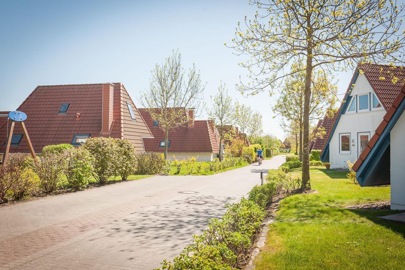 Straße mit Häusern, Grünflächen und einem Radfahrer.