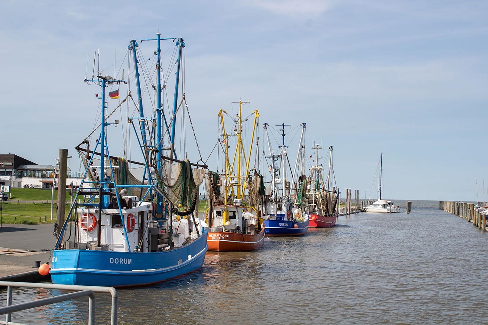 Fischerboote liegen im Hafen von Dorum. Mehrere Schiffe sind am Kai vertäut.